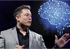 Elon Musk gây sốc, khỉ chơi game bằng suy nghĩ sau khi được cấy chip vào não