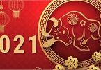 Useful apps should be installed on smartphones to celebrate the Lunar New Year