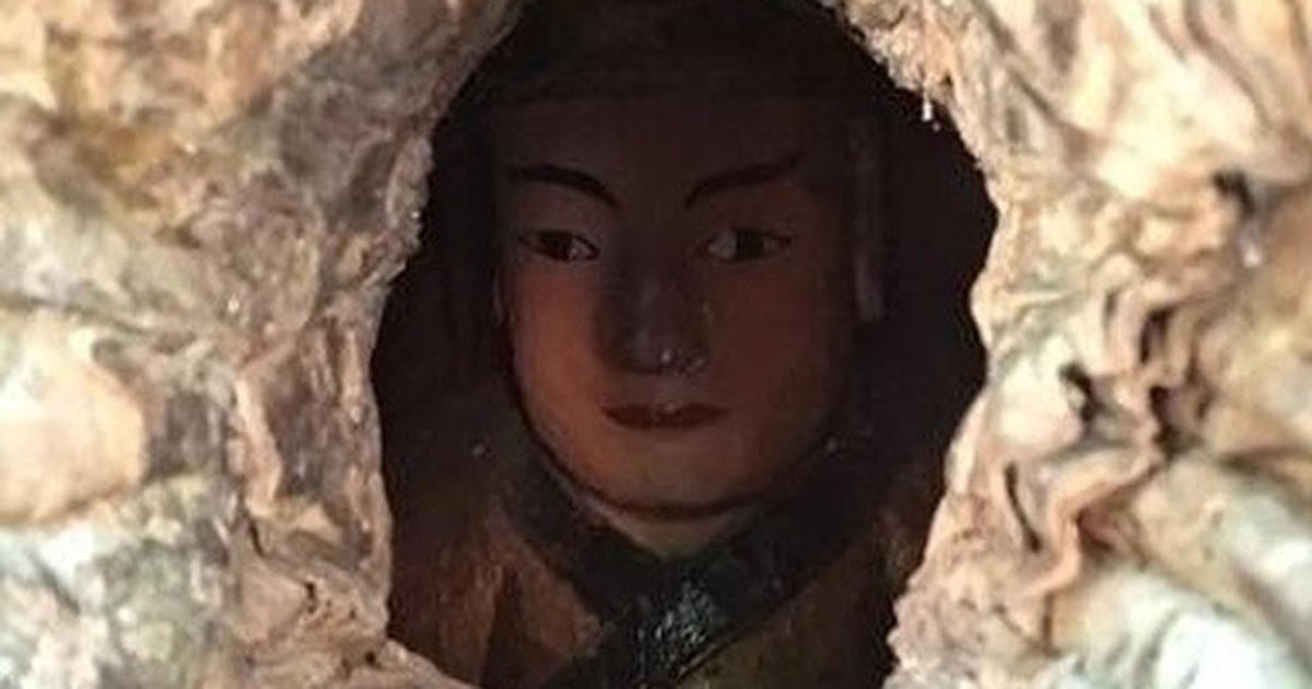 Kỳ lạ bức tượng Phật nằm trong hốc cây hơn 1.000 năm tuổi