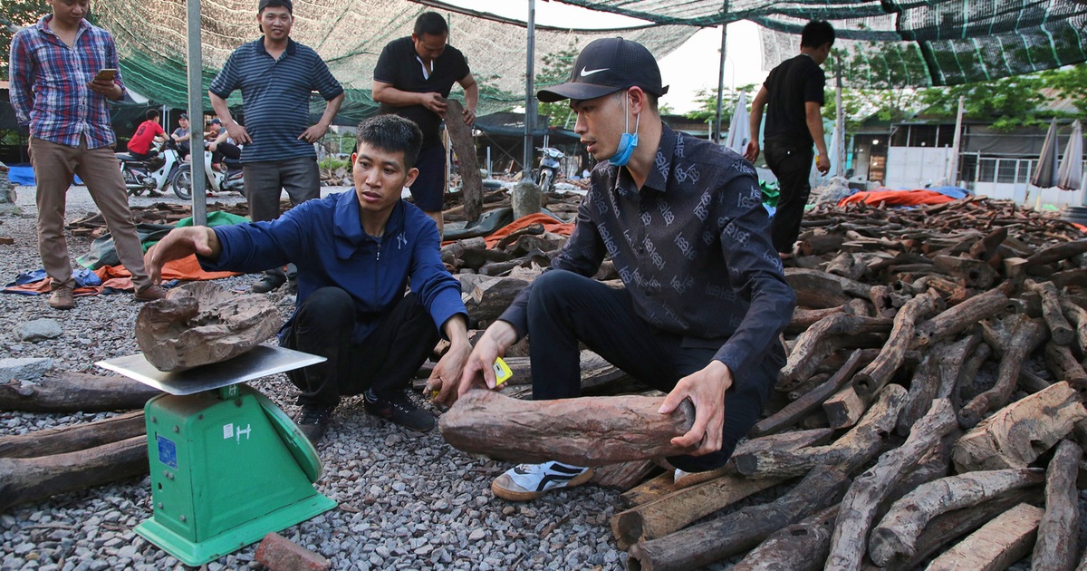 Độc lạ chợ 'củi vụn' có giá tiền triệu một cân