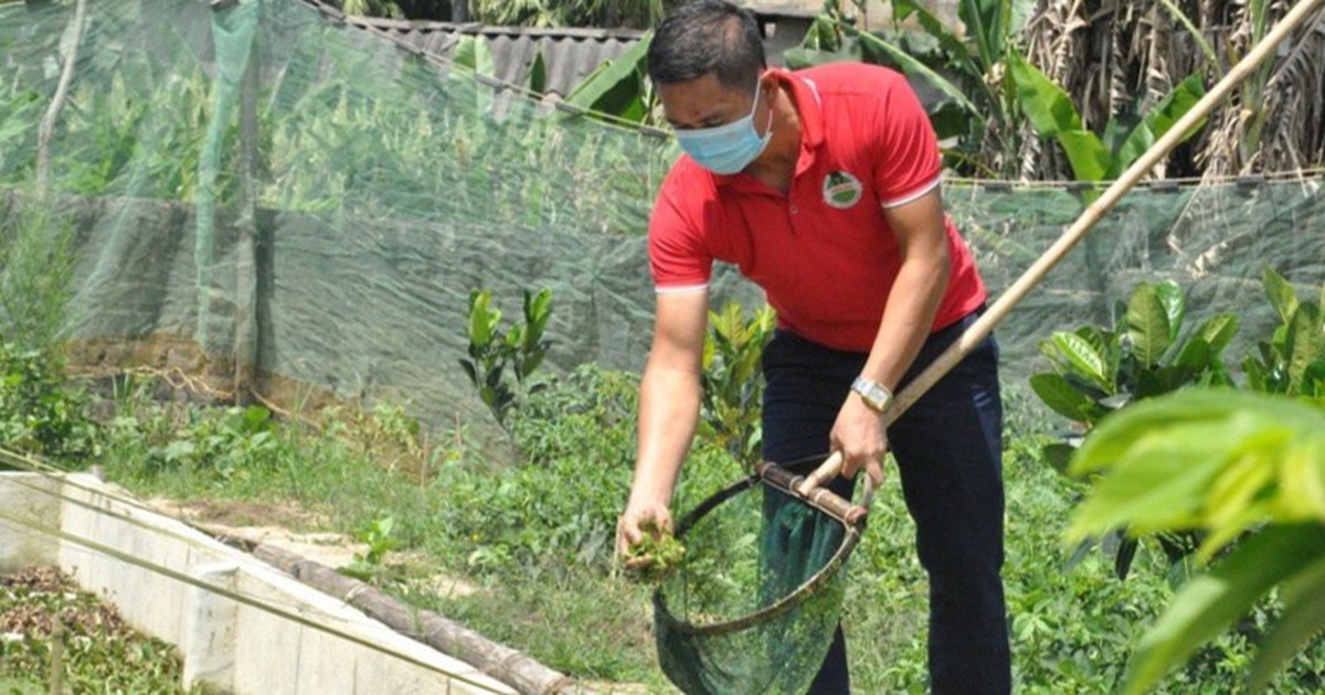 Từ vệ sĩ thành giám đốc công ty nuôi... ốc nhồi
