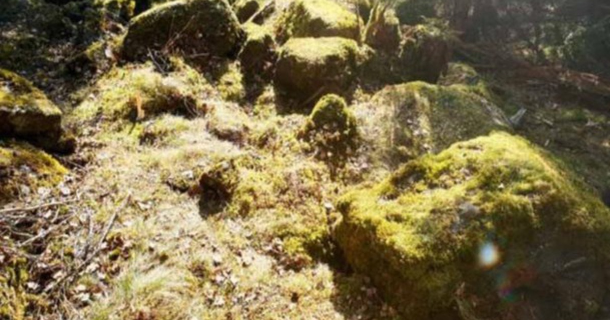 Đi dạo, người đàn ông tình cờ phát hiện kho báu từ thời đồ đồng