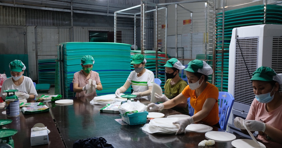 8X gác 2 bằng đại học về quê làm bánh đa nem, thu tiền tỷ mỗi năm