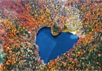 Hồ hình trái tim lãng mạn nhất Nhật Bản