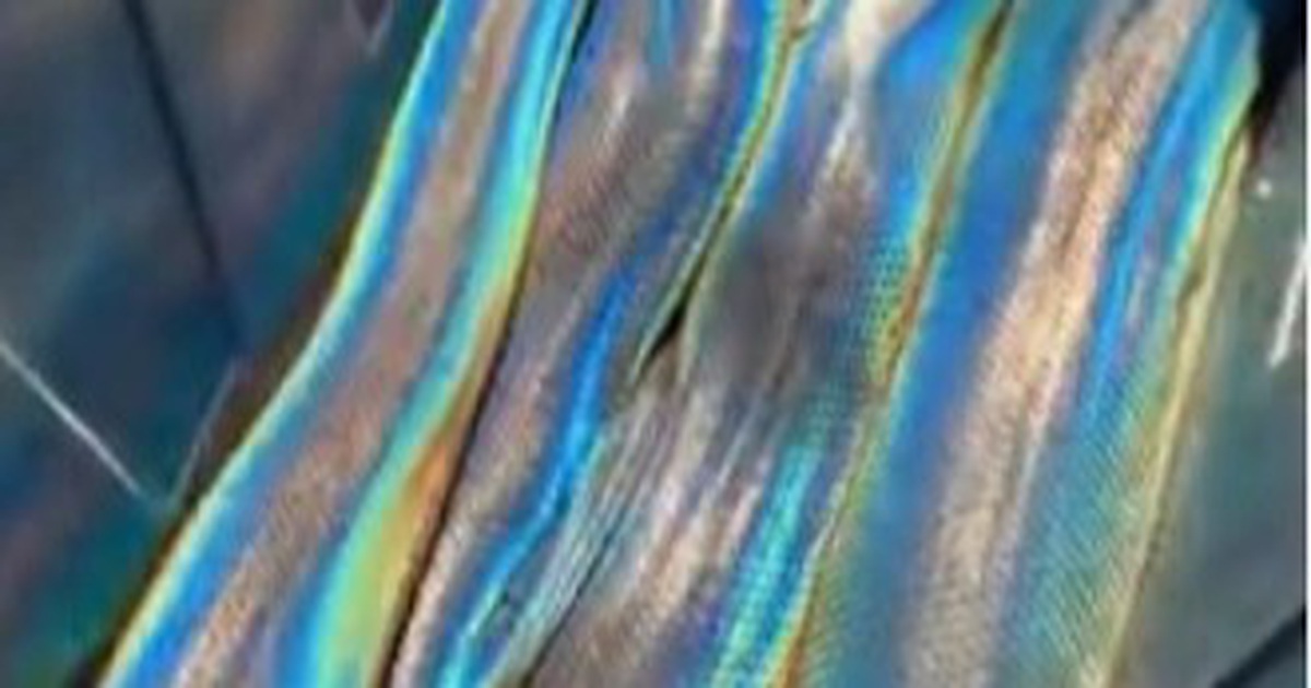 Trăn ‘cầu vồng’ mê hoặc cư dân mạng