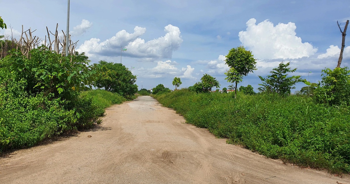 Hé lộ sự thật về thông tin