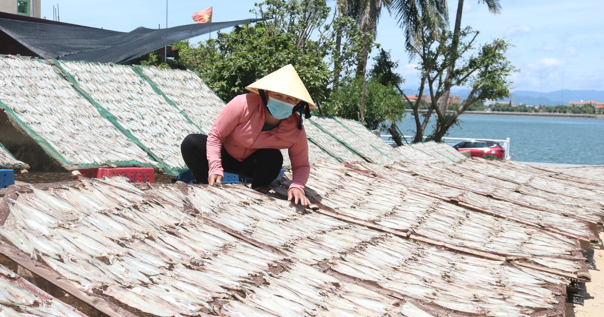 Người phụ nữ làng biển rủ chị em làm giàu, thu lãi 2 tỷ đồng mỗi năm