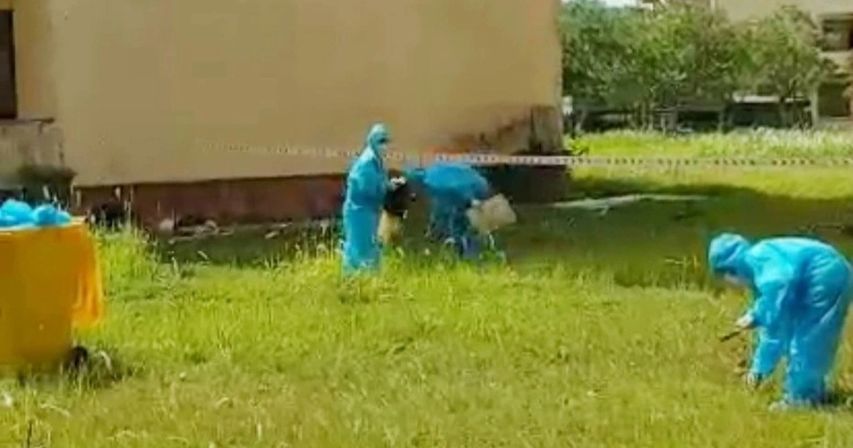 Đánh bài trong khu cách ly, nhóm thanh niên phải mặc đồ bảo hộ đi nhặt rác