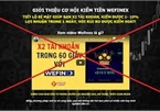 'Không tham gia đầu tư vào các website Wefinex.net, RaidenBo.com'