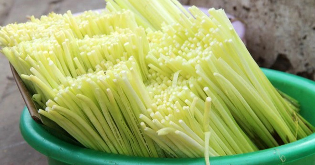 Độc lạ loài cỏ dại thành loại rau 'hái ra tiền' của miền Tây