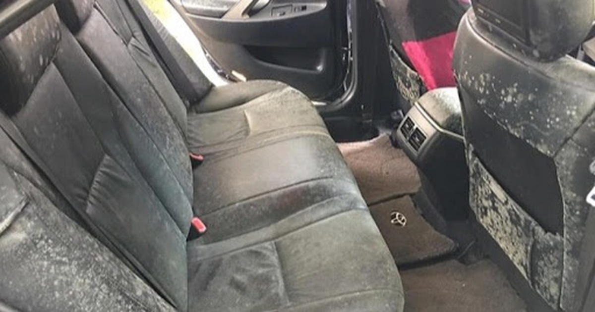 Ghế ô tô mốc trắng vì để lâu ngày khiến nhiều chủ xe giật mình