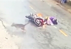 Người đi xe máy ngã ra đường vì đâm phải con chó, thêm chi tiết gây bức xúc