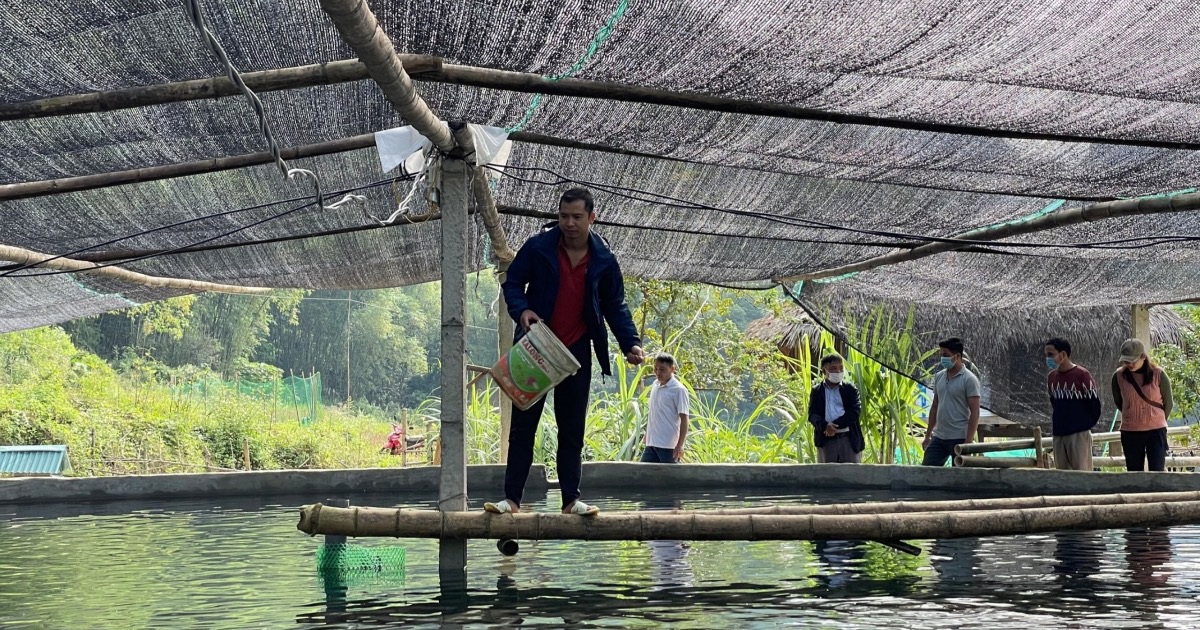 Thu tiền tỷ nhờ nuôi loài cá không xương trên đỉnh núi