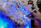 Cận cảnh viên đá quý sapphire 310kg lớn nhất thế giới vừa đào được
