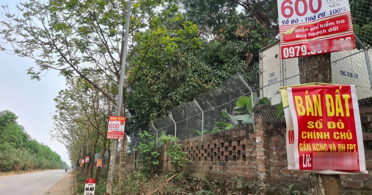 Ồ ạt 'săn' đất nền vùng ven Hà Nội sau Tết, có dễ ăn bằng lần?