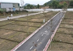 Rộ chiêu dồn tiền gom đất rồi phân lô bán nền tràn lan ở ven Hà Nội