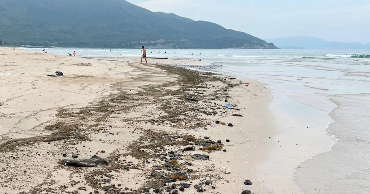Bất thường dầu vón cục liên tiếp xuất hiện ở bãi biển nổi tiếng Khánh Hòa