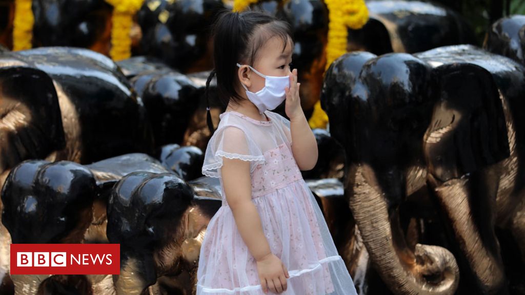 Coronavirus: A visual guide to the outbreak