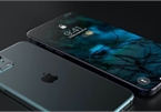LG phá thế độc quyền của Samsung về cung cấp màn hình iPhone OLED