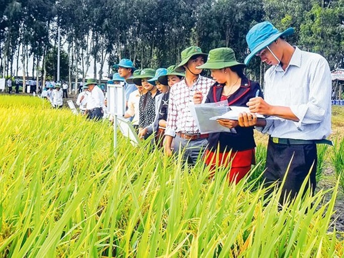 “Làm nông nghiệp thông minh không thể thiếu bản đồ số nông nghiệp”