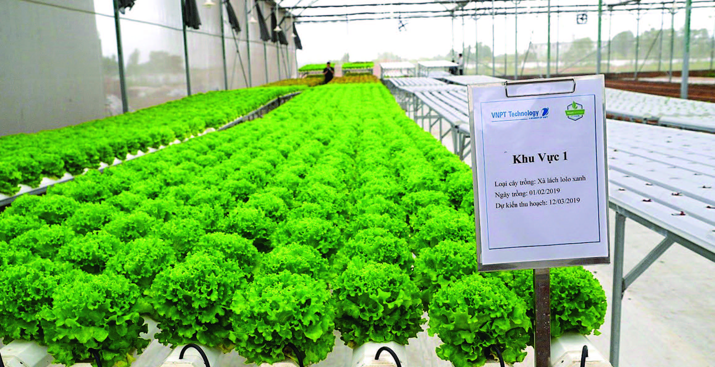 VNPT hỗ trợ Tập đoàn Lộc Trời ứng dụng AI phát triển nông nghiệp thông minh - Ảnh 2.