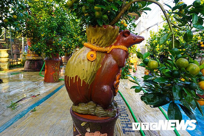 Doc dao chuot vang cong quat vua xuat hien da co khach dat mua hinh anh 4