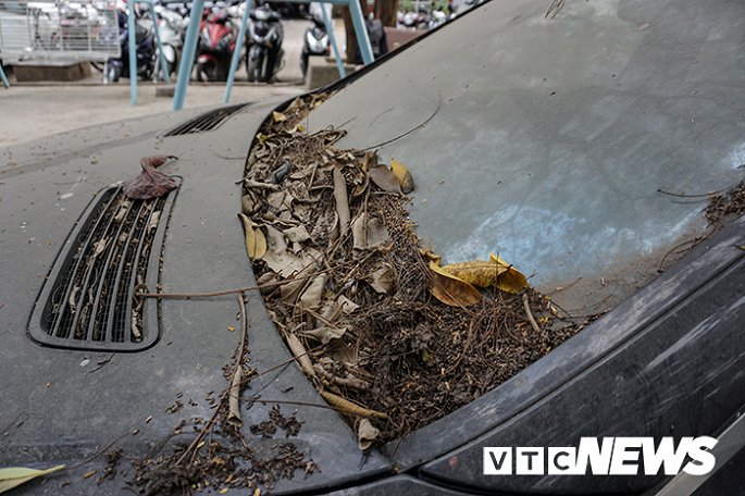 Xe sang Mercedes-Benz gan chuc ty dong bi bo hoang giua Ha Noi hinh anh 7