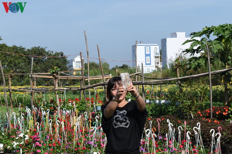 pho tho-ba bo flower village gears up for tet hinh 9