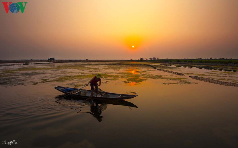 discovering peaceful tranquility at chuon lagoon in hue hinh 10