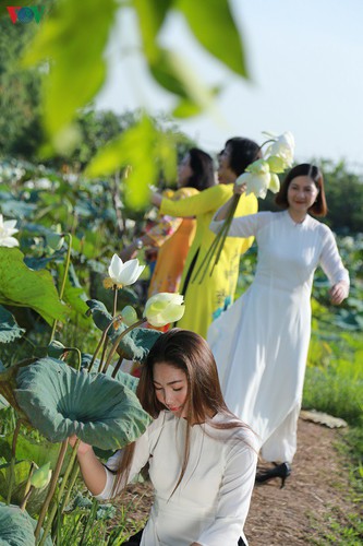 hanoi sees hordes of people flock to white lotus flower pond hinh 7