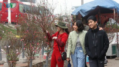 Quang An flower market bustling with trade as Tet looms