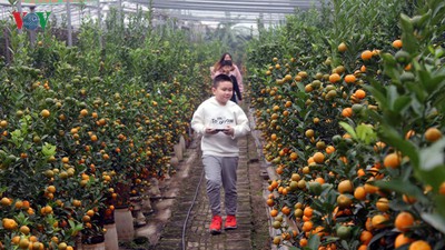Tu Lien village bustles with trade ahead of Tet