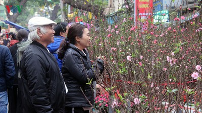 Hang Luoc flower market proves to be a hit among customers ahead of Tet