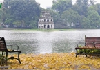 Summer looms as Hanoi streets are covered in falling yellow leaves