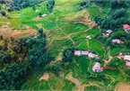 Romantic valley seen from Fansipan cable car