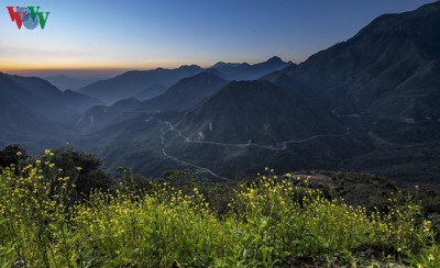 Exploring spectacular sight of Sapa during spring