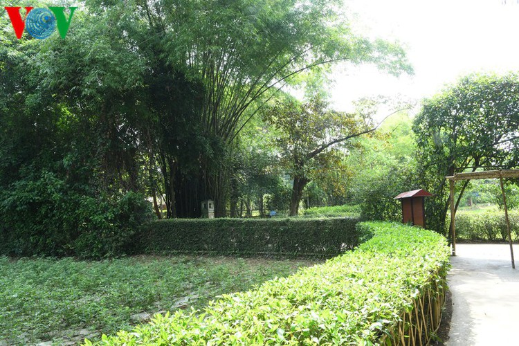a look at president ho chi minh’s house throughout his childhood hinh 11