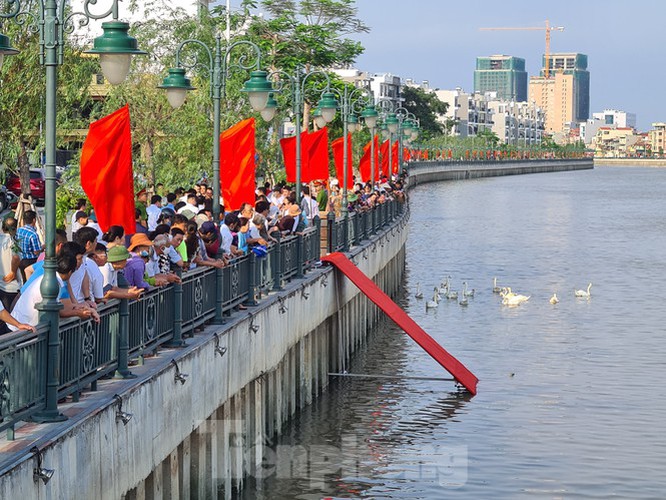 65 pairs of swans released into hai phong river hinh 3