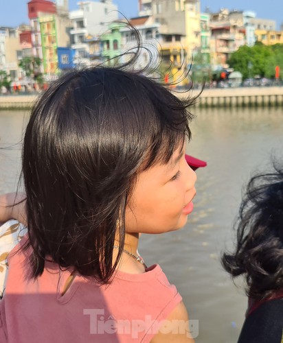 65 pairs of swans released into hai phong river hinh 6