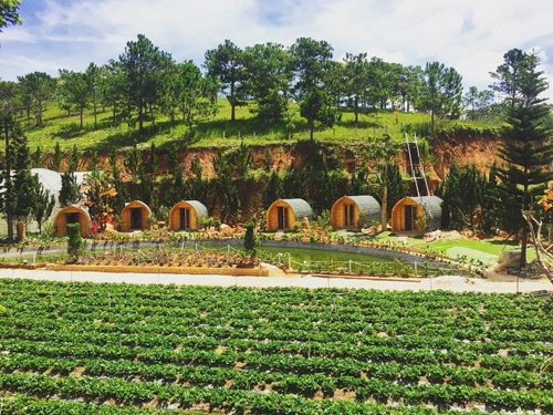 top 5 unmissable homestays in da lat hinh 1
