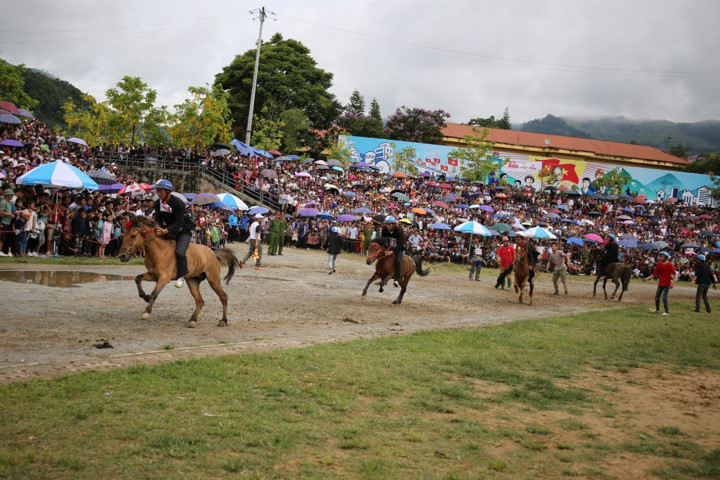 sapa to host debut fansipan horse race hinh 1