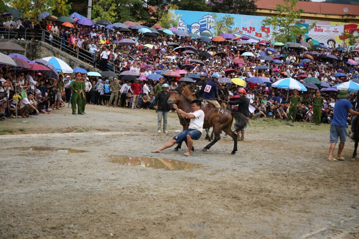 sapa to host debut fansipan horse race hinh 2