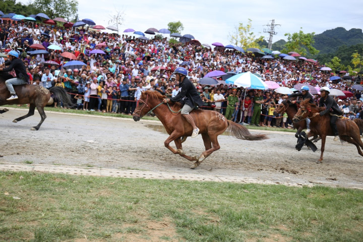 sapa to host debut fansipan horse race hinh 3