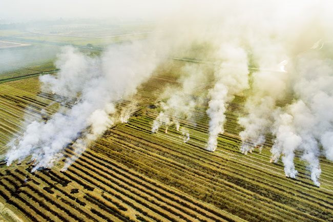 air pollution more serious in vietnam hinh 7