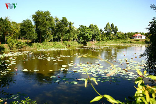 images from the peaceful ancient village of phuoc tich hinh 16