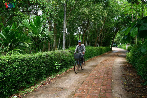 images from the peaceful ancient village of phuoc tich hinh 17