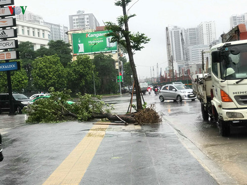 storm brings extreme weather to northeast, north, and central regions hinh 24