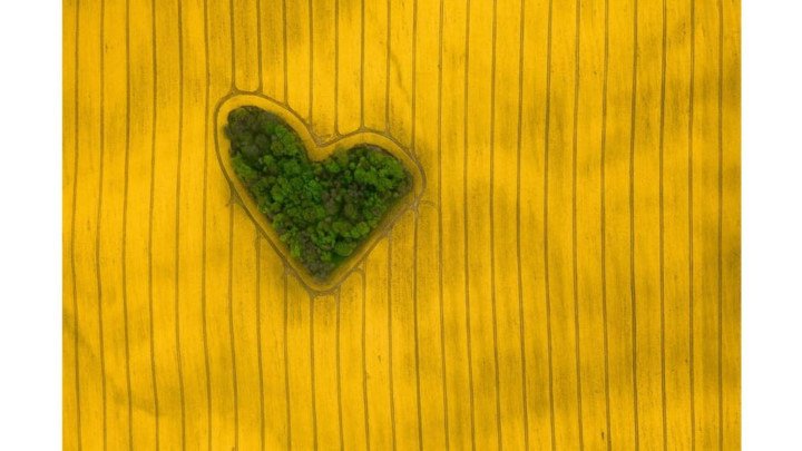 vietnamese photographer awarded prize in drone awards 2019 hinh 3