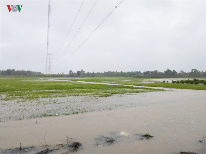 heavy rain submerges in central highlands provinces hinh 8