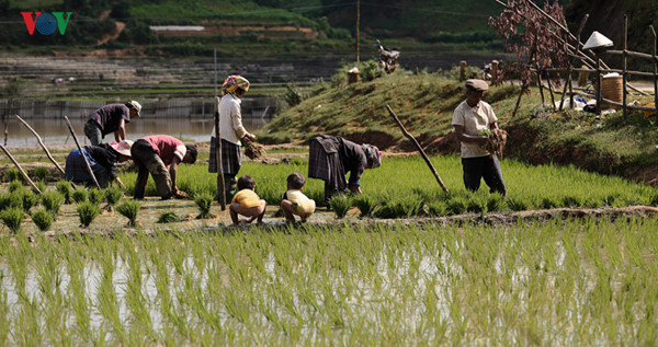 mu cang chai named among world’s 50 most beautiful places to visit hinh 11